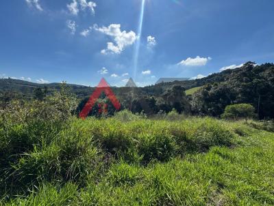 Terreno para Venda, em Ibina, bairro curral